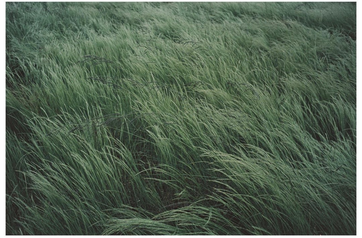 如何拍出日系风的照片,如何拍摄日系人像摄影