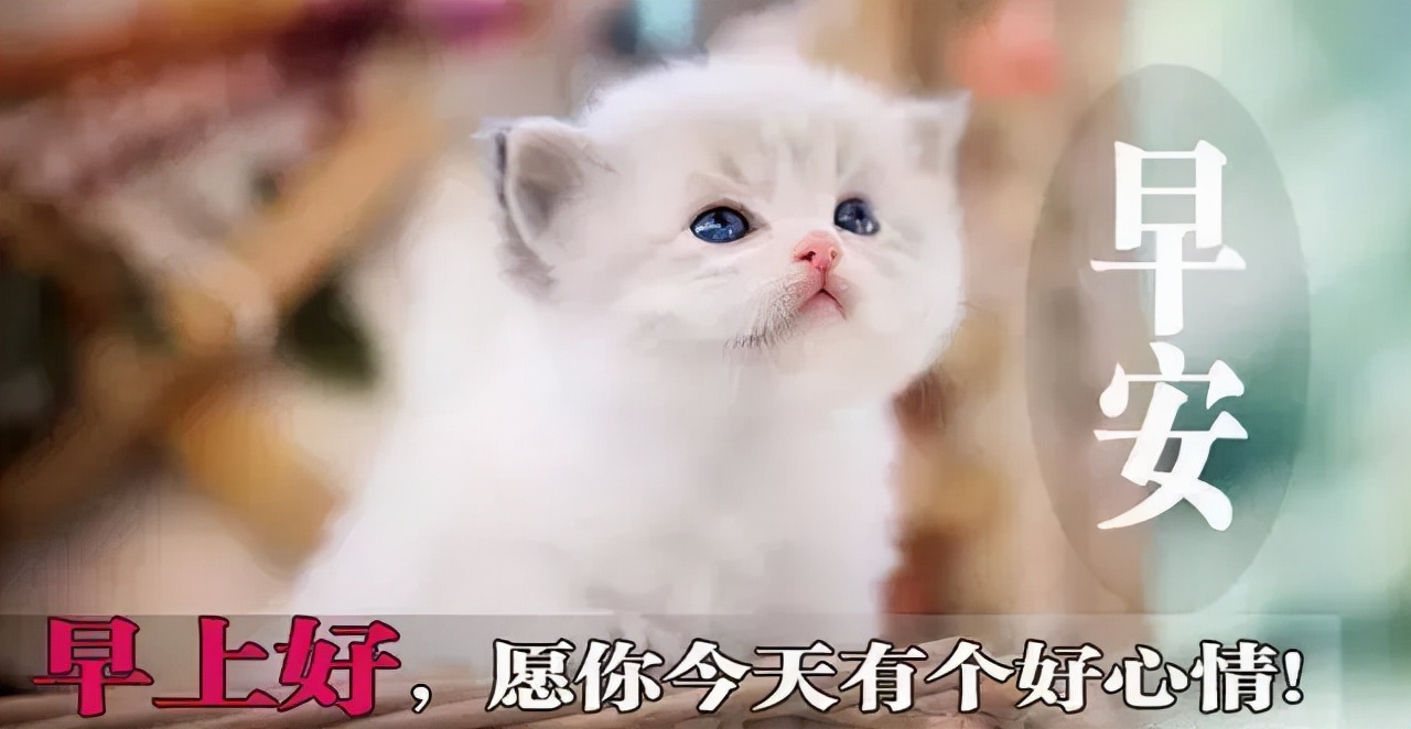 早安正能量句子带图片大雪,大雪天早安语图片