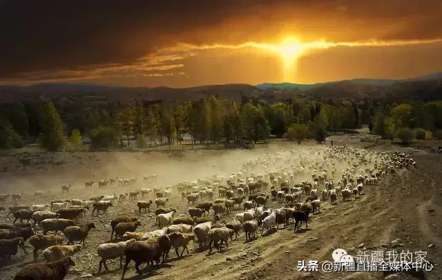 *疆新**人这么牛逼，你不知道吧