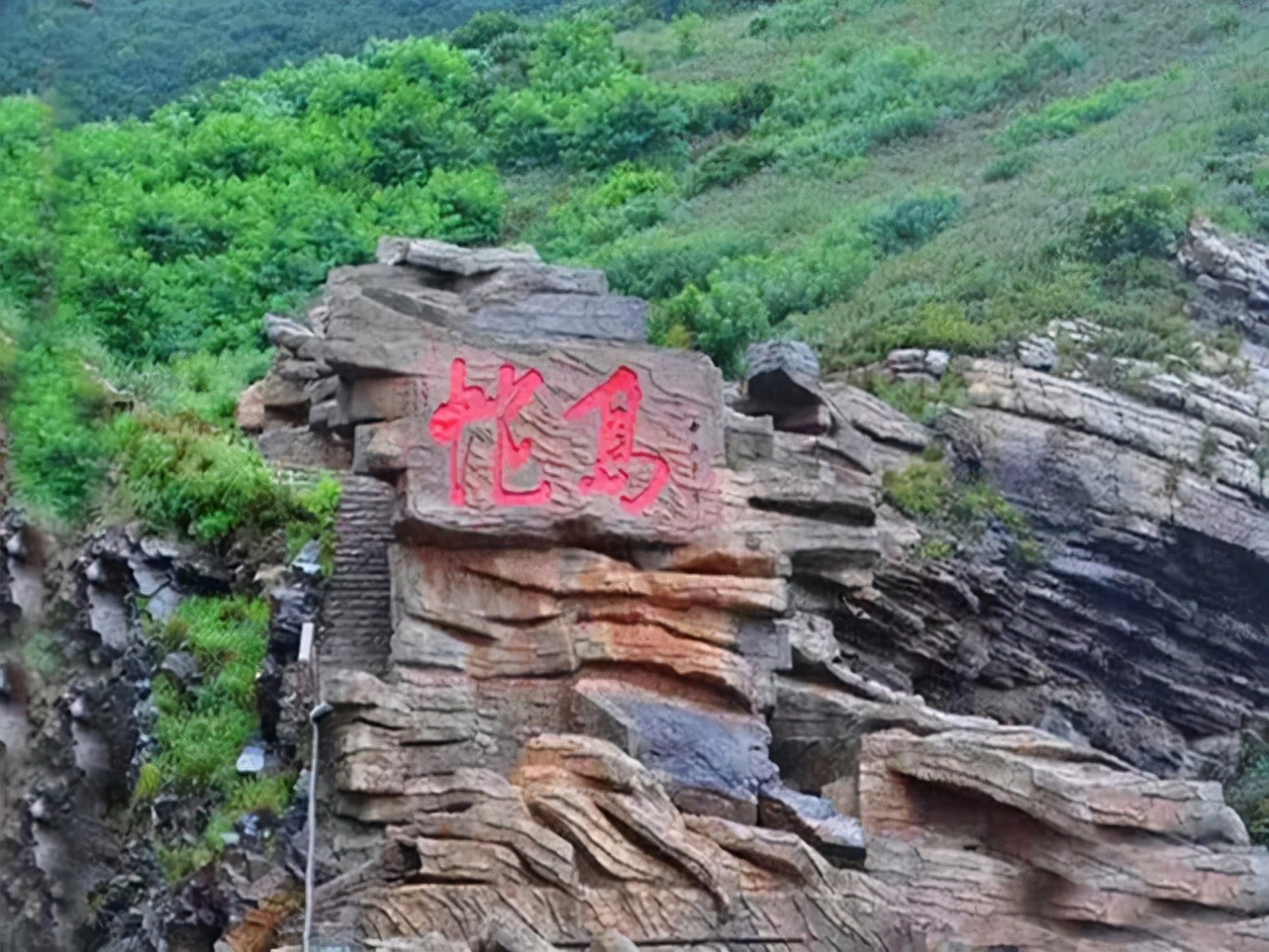 大连蛇岛20000条毒蛇吃什么,中国大连蛇岛蛇是怎么形成的