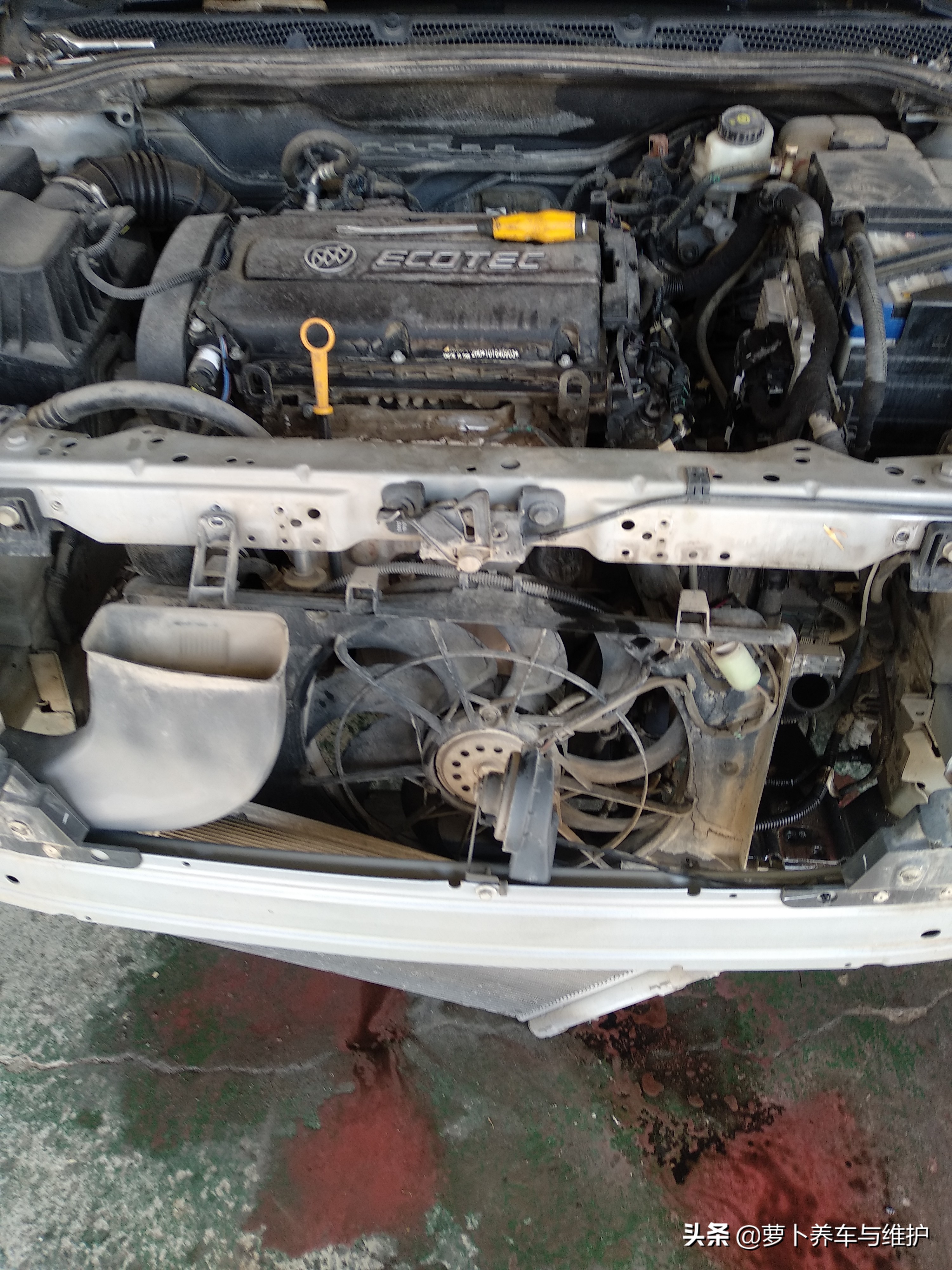 开别克英朗的车主,开着别克英朗在路上视频