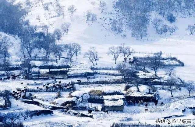 李贺的经典古诗出城感悟,出城李贺鉴赏答案