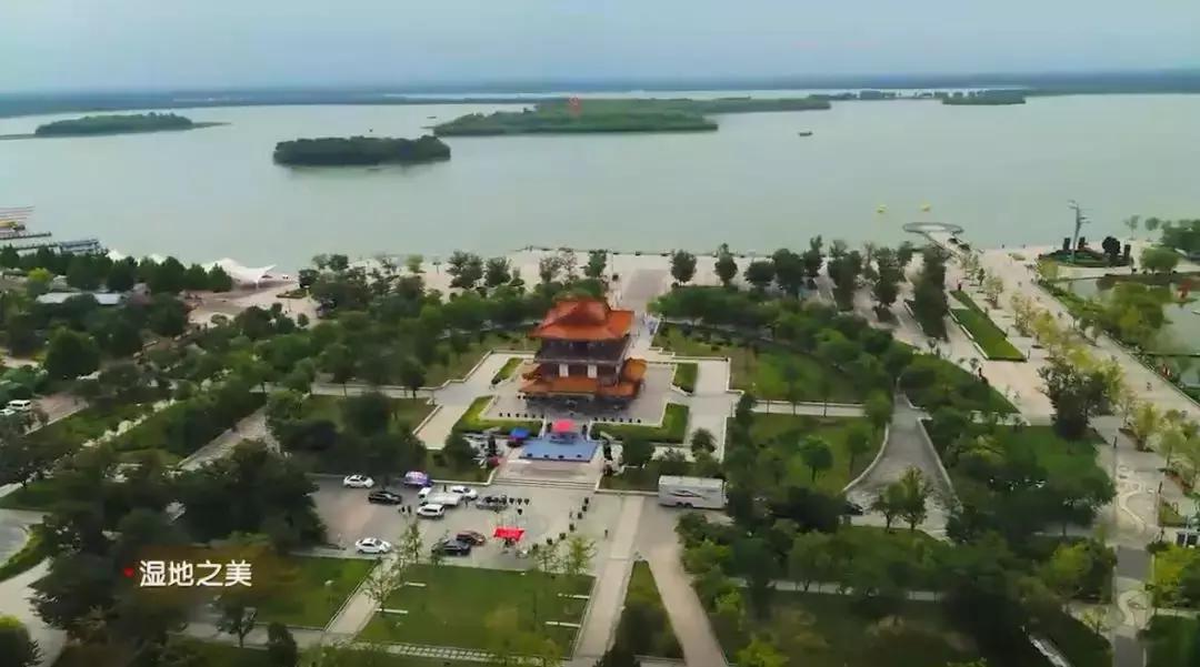 济宁任城湿地公园荷花,济宁莲花湿地