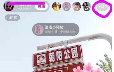 线下碰面约架,线下约架队友