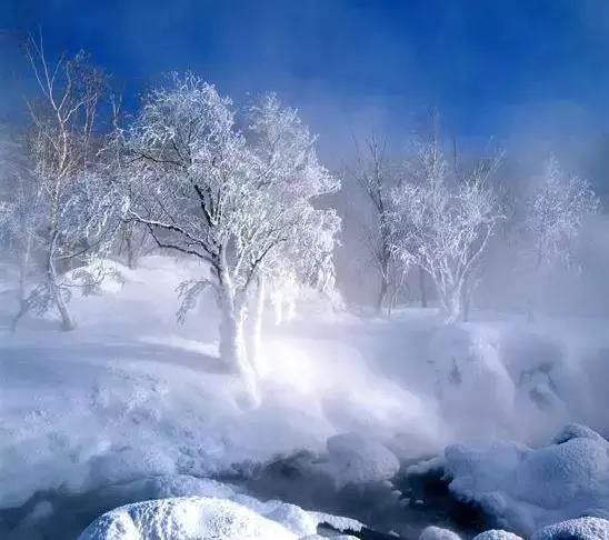 哇！这元旦“两公布一提示”攻略，各位可爱的童鞋快快收藏起来！