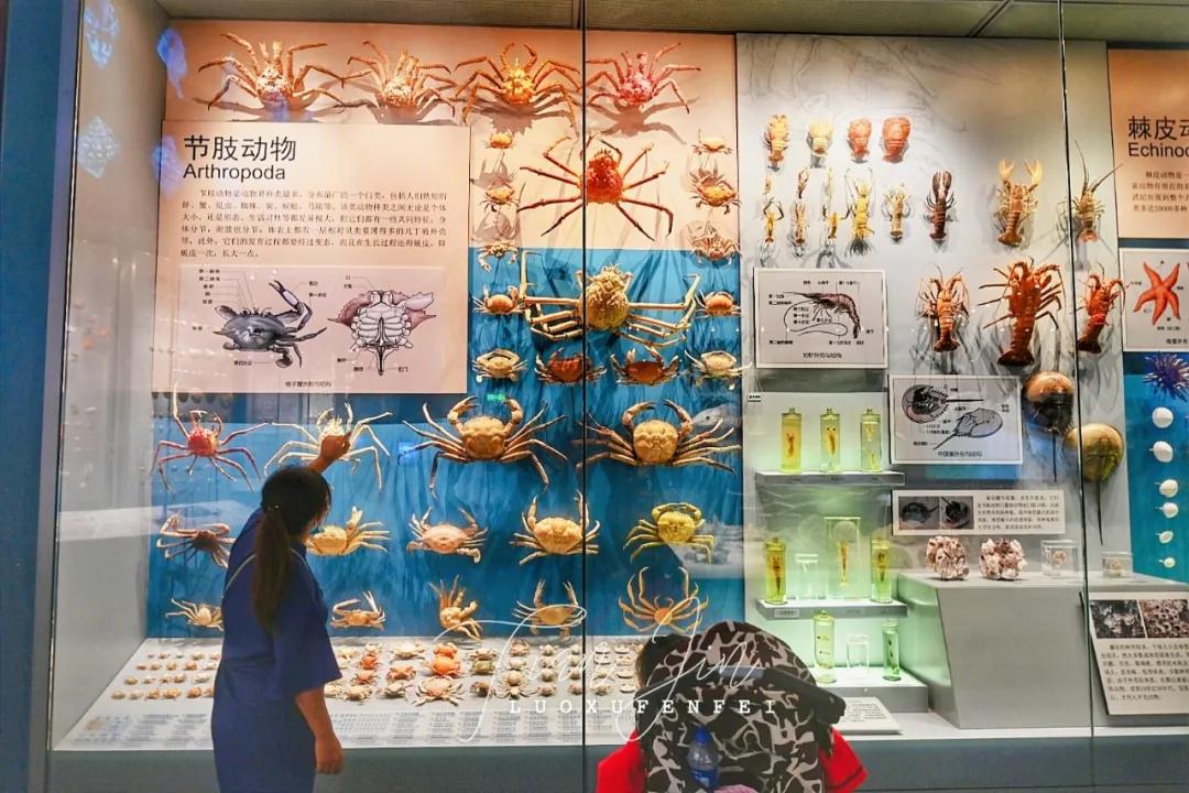 滨海新区海洋博物馆怎样预约,天津滨海亲子游最佳地点