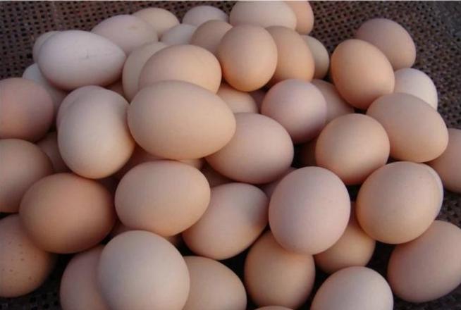 俗语说房前屋后栽啥树好,俗语想致富先修路原话怎么说