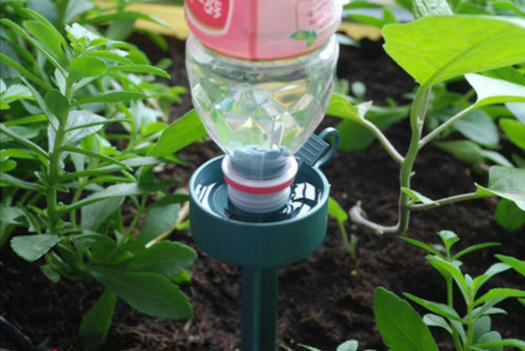 长期不在家家里花草怎么浇水,出门半年家里的花草怎么浇水