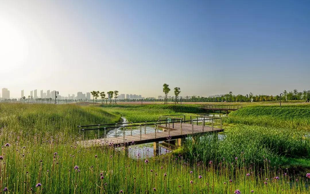 长沙洋湖湿地公园推荐视频,长沙洋湖湿地公园绿野仙踪