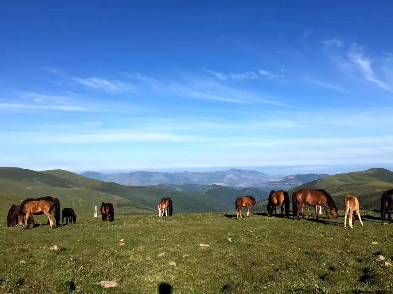 四大佛教名山之一五台山,五台山万人朝拜台