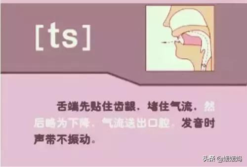 音标教学视频48个快速记忆法,英语48个音标发音教程视频