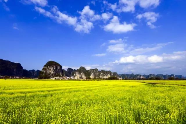 2019已过去迎接新的2020已到来,广西之旅2019