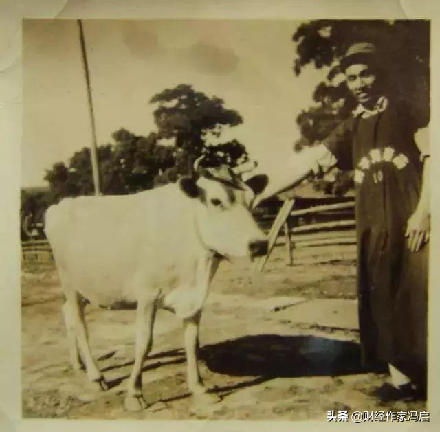 中国乳业百科全书解说,中国乳业七十年发展历程