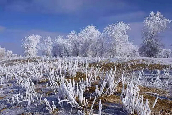 巴音布鲁克镇冬天的生活,巴音郭楞自治州和静县冬天