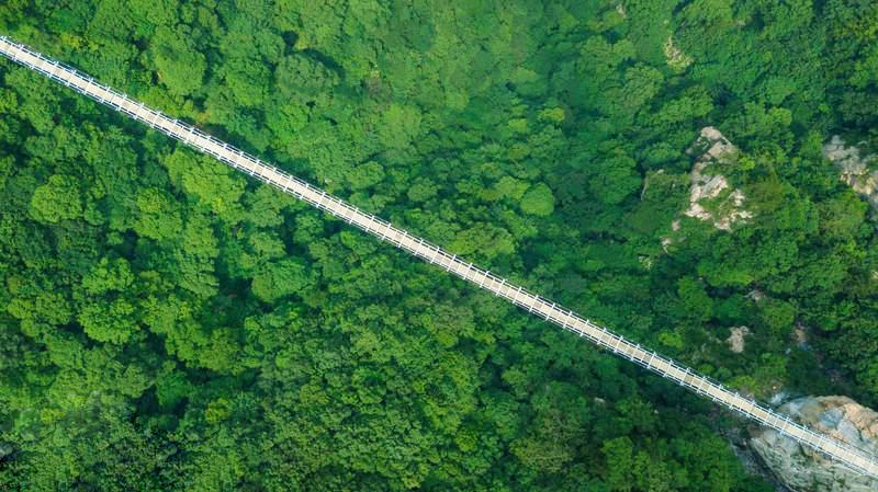 抢抢抢！五一狂欢就来墨子古街，4重福利等你来！