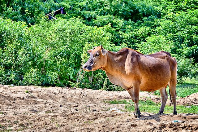 台山那琴湾海边旅游经历,台山爱琴湾旅游攻略