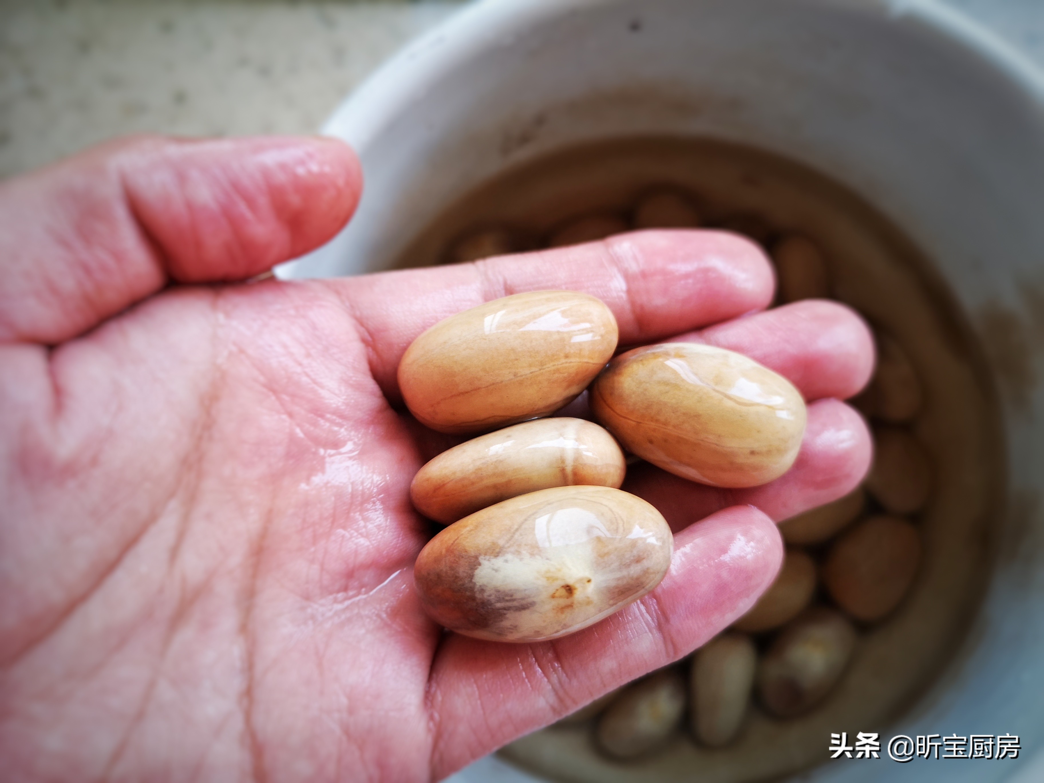 20鏂ょ殑鍗板害姘存灉 (鍗板害浜哄綋涓婚鍚冪殑姘存灉)