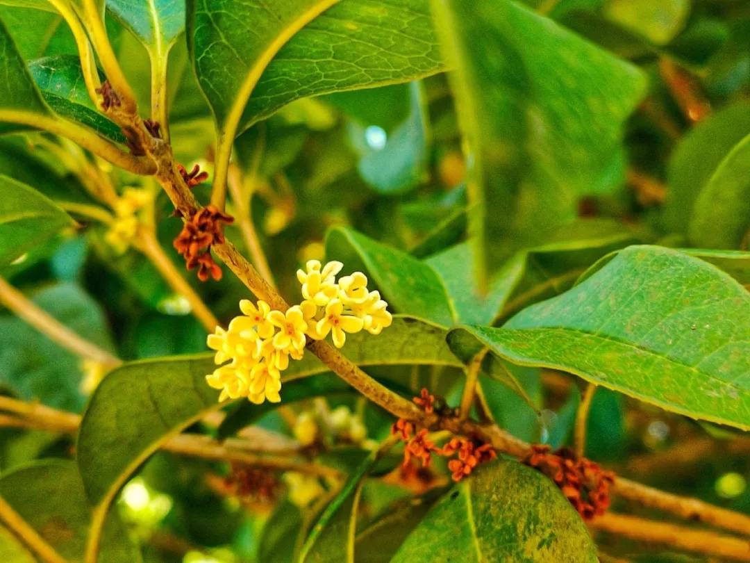 说一说周口师范学院,河南之最之周口师范学院