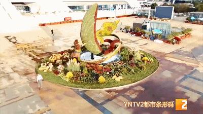 昆明100个立体花坛位置,昆明cop15立体花坛