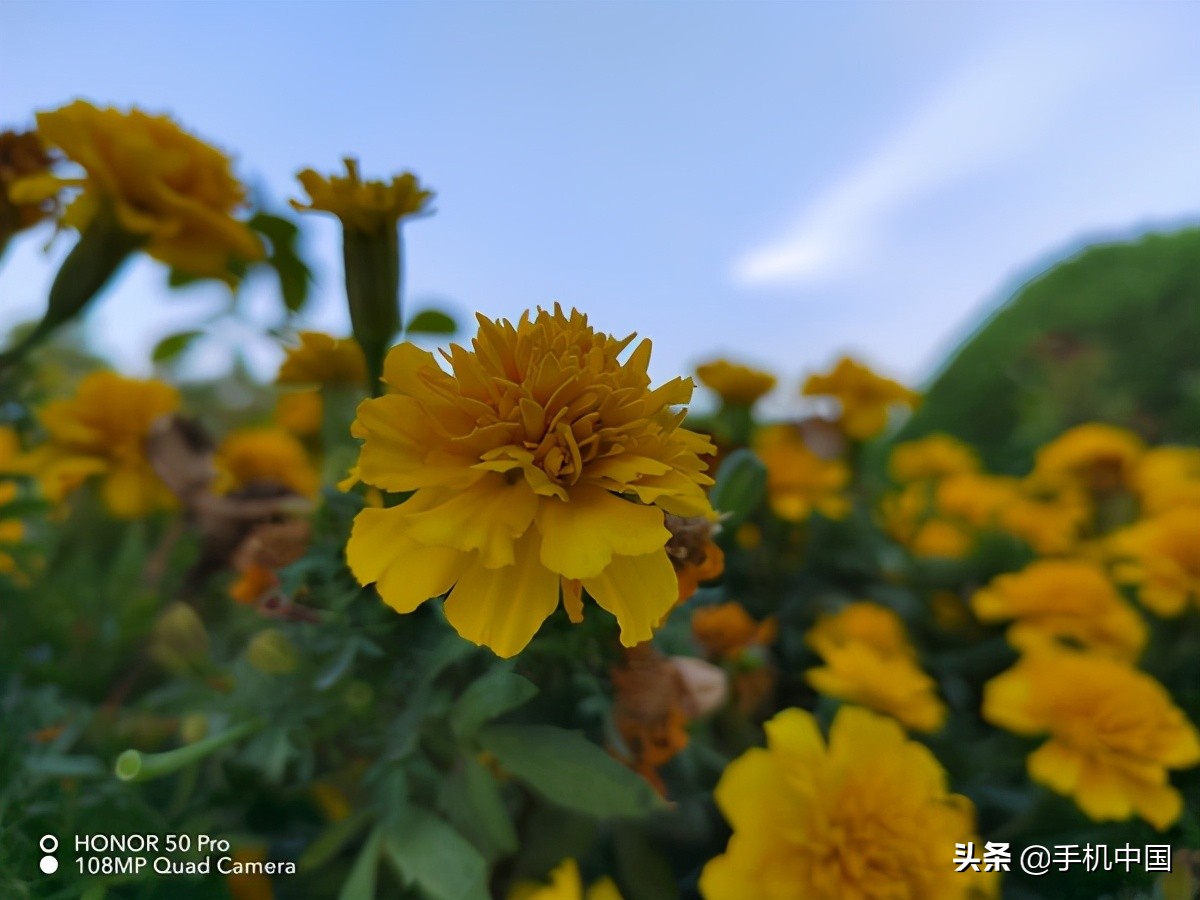 荣耀50pro视频评测,荣耀50pro静态展示