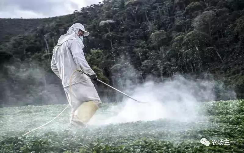有机农业的真实现状,有机农业的惊天骗局