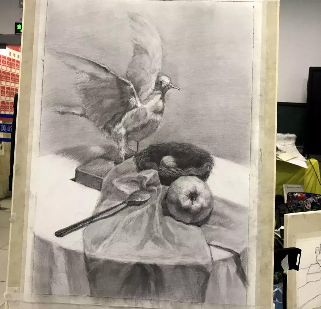 青春记实,青春记大学生在行动