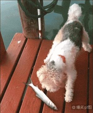 蜗牛是怎么生蛋,蜗牛是怎么被生出来的