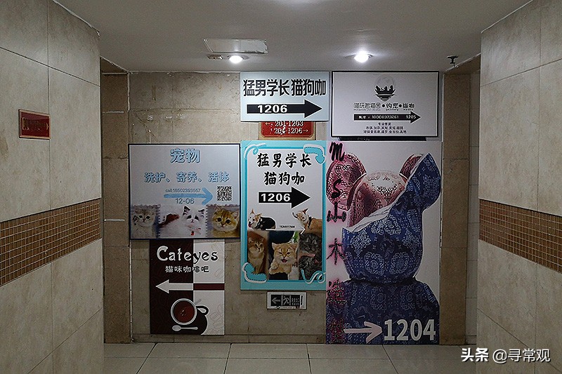 魔楼红鼎国际,重庆魔幻楼红鼎国际