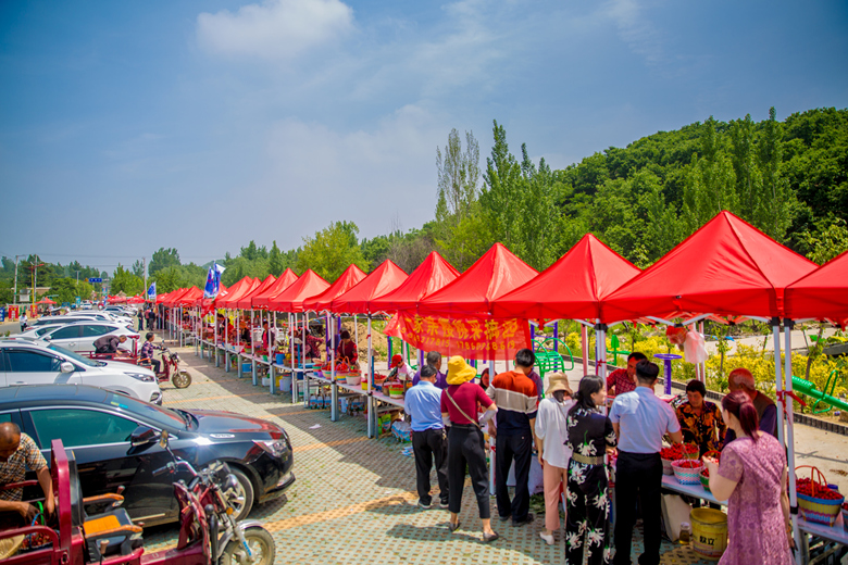 山东临朐樱桃树,山东临沂市大樱桃树好吗