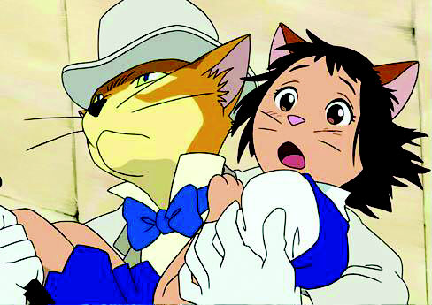 猫的报恩在哪里才看得到,猫的报恩行为