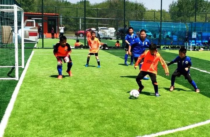 唐山足球场地,唐山足球场建设