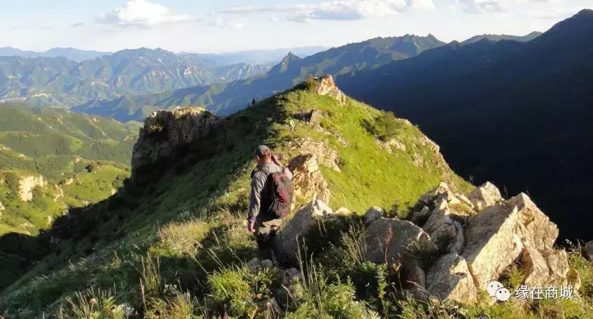 「品读」我的前男网友——以后真的不单独见面吗?/江河之王