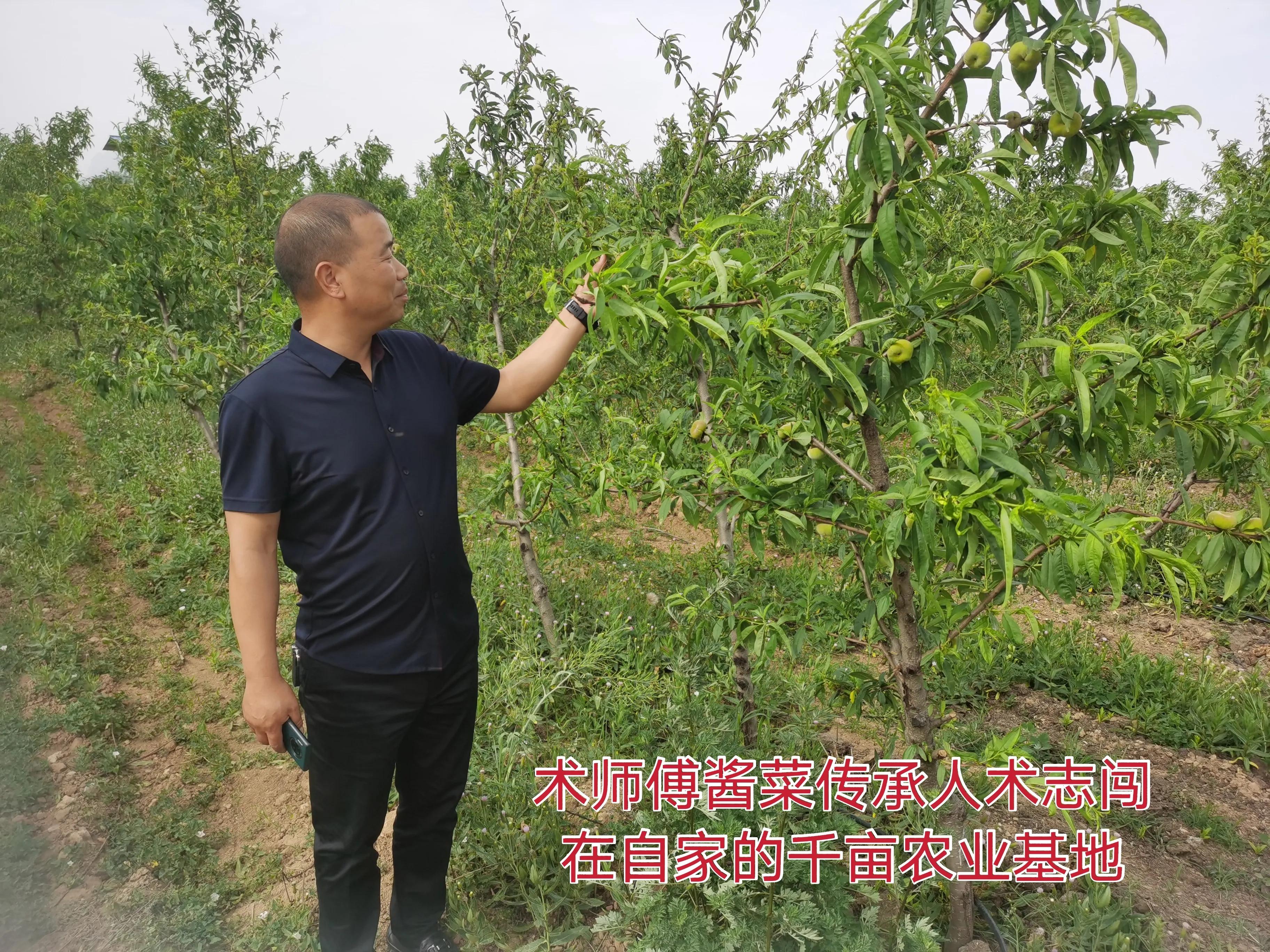 朝阳沟的时代特点,朝阳沟是一代人的回忆