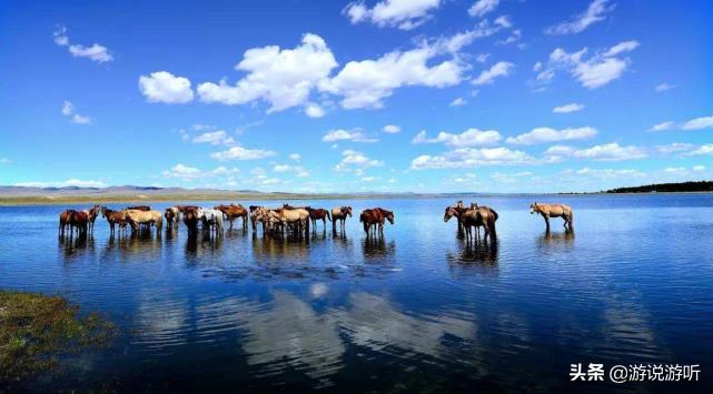 15句话看日本,带你看看真实的外蒙古