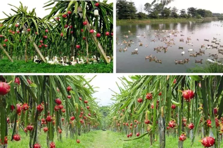 从化一日游最佳去处民宿,从化旅游线路攻略大全最新