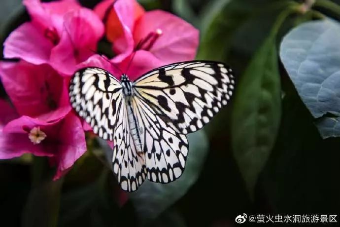 自由行吃喝攻略,旅行攻略之吃喝玩乐