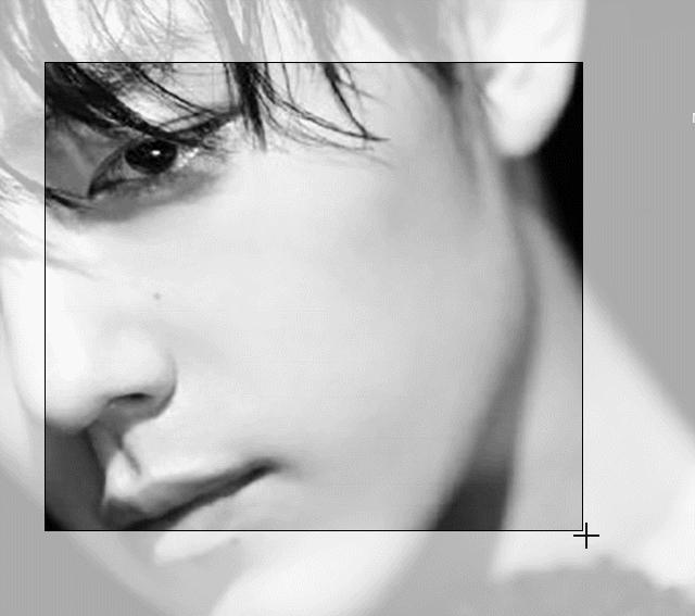 如何截图电脑屏幕快捷键,如何用电脑截图工具截图