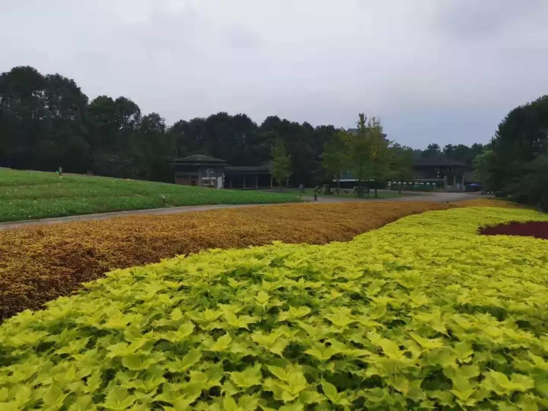 中秋优惠团购景区,团购石象湖门票