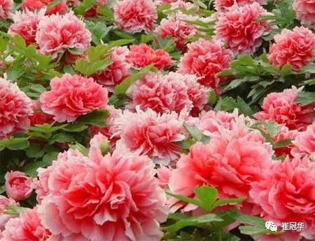 欧阳修袁枚,韩愈袁枚和欧阳修