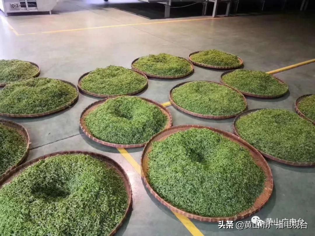 谢裕大百年老字号,谢裕大新品