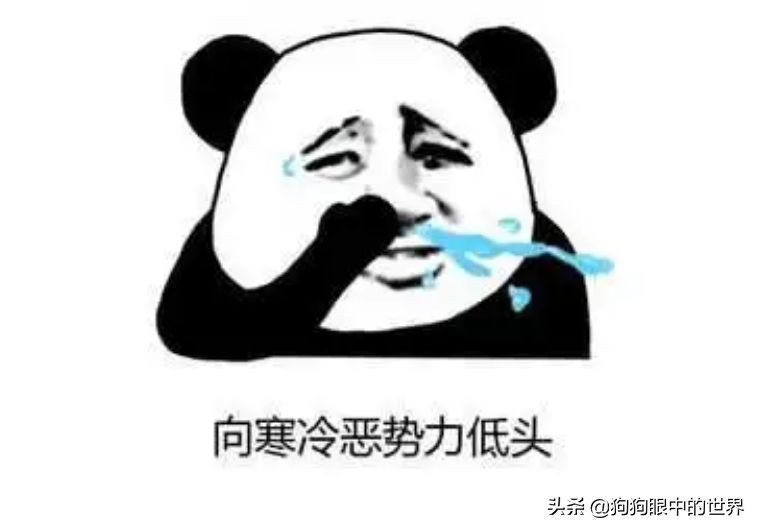 狗狗感冒好了没几天又感冒了,狗狗感冒好了之后还是没精神