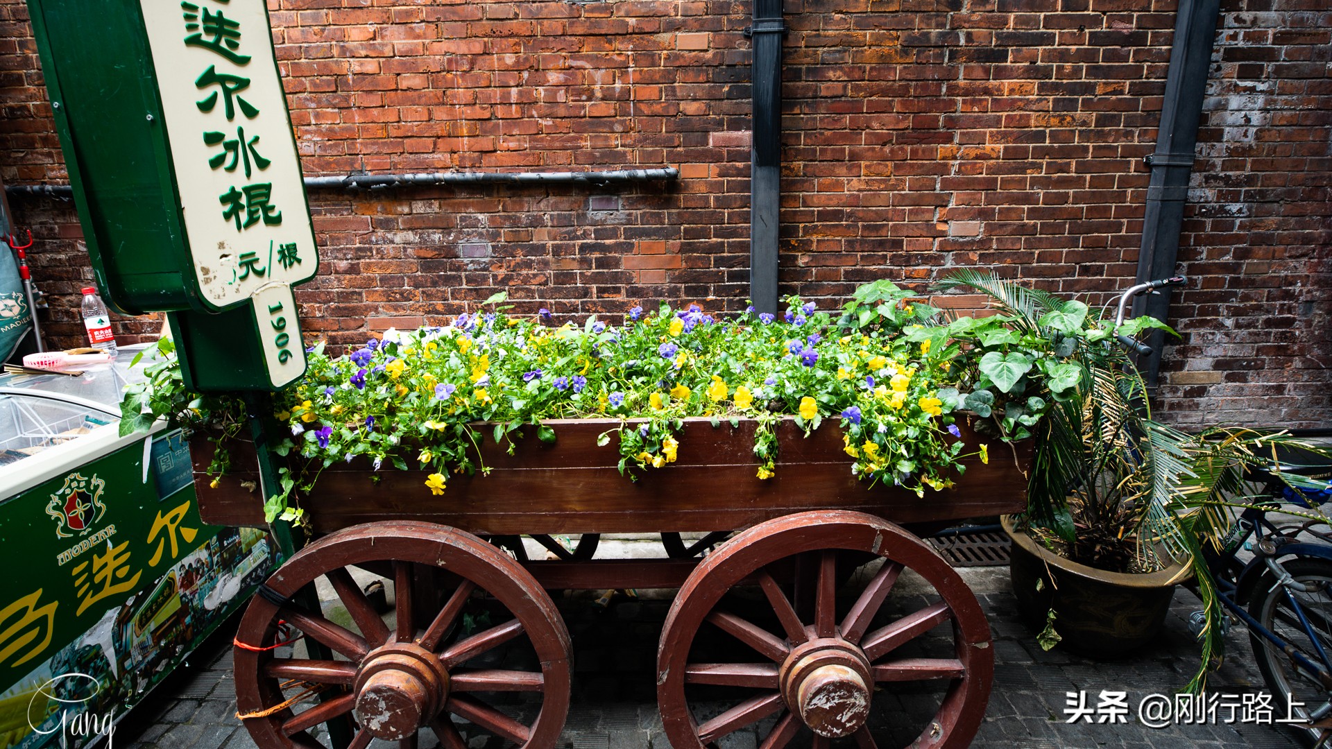 上海拍照打卡地,上海田子坊旅游最佳攻略选择