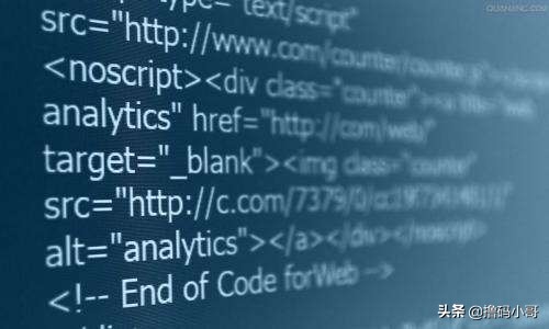 计科要学的程序语言,计科新生如何自学