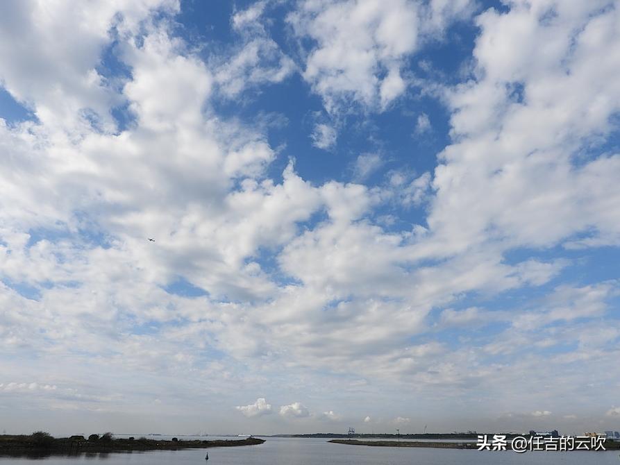 尼康p1000日常拍摄和手机对比,尼康p1000是多少毫米镜头