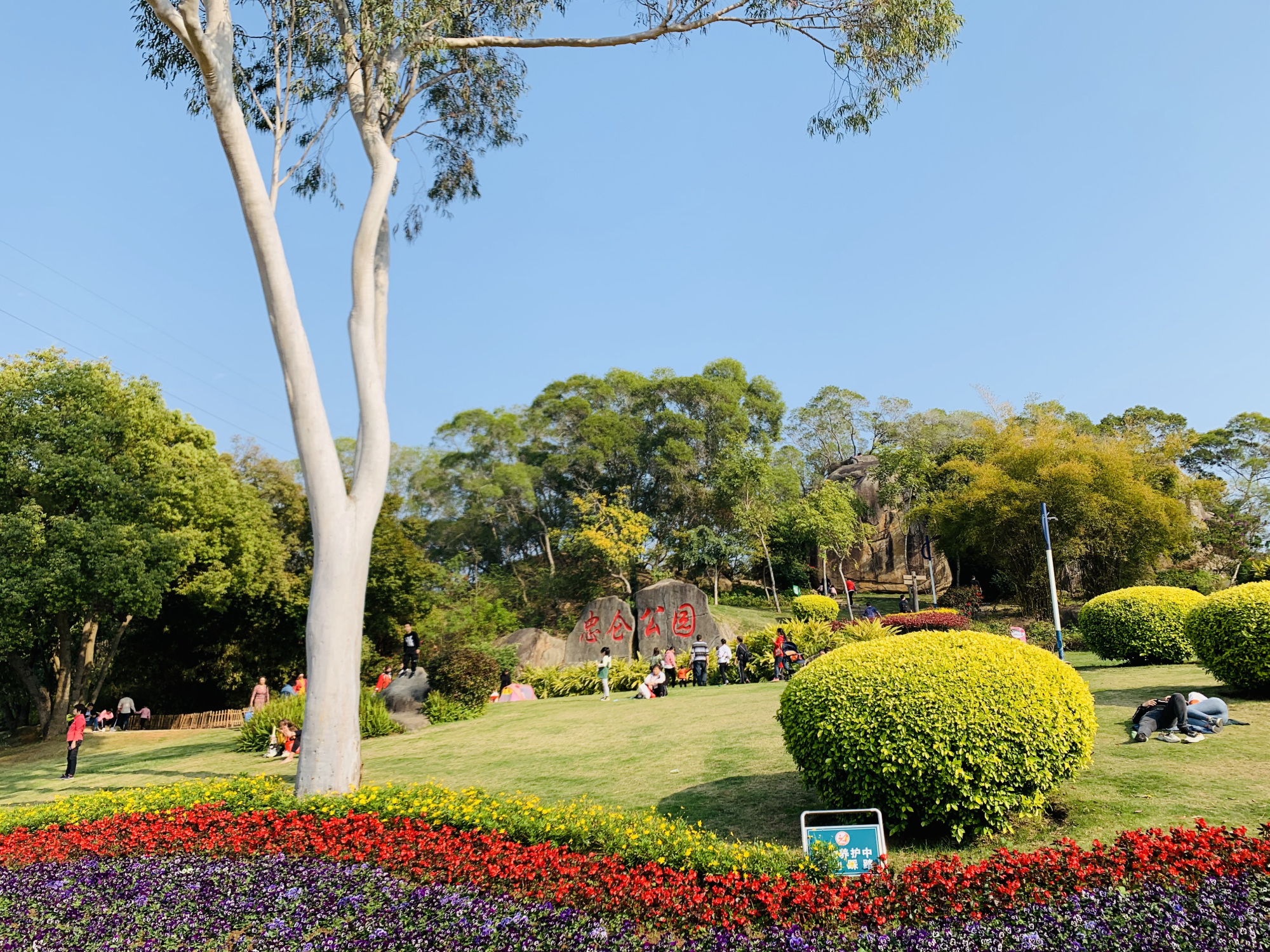 厦门免门票公园,厦门新增儿童公园