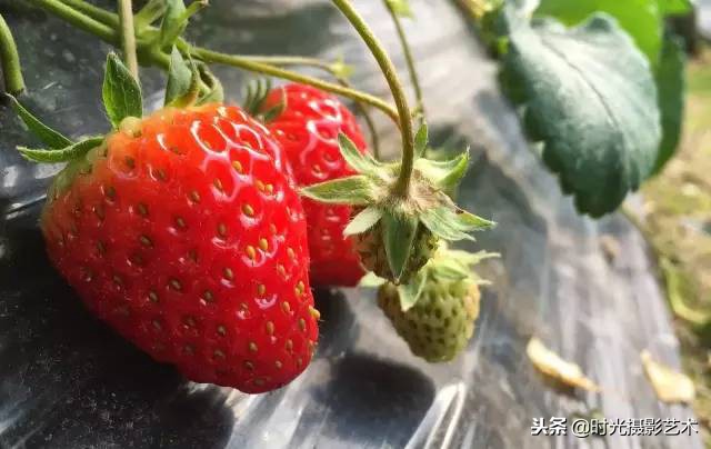 手机摄影创作后期教程,手机摄影的光影技术