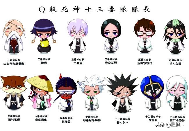 死神护庭十三番队详细介绍,死神护庭十三队长