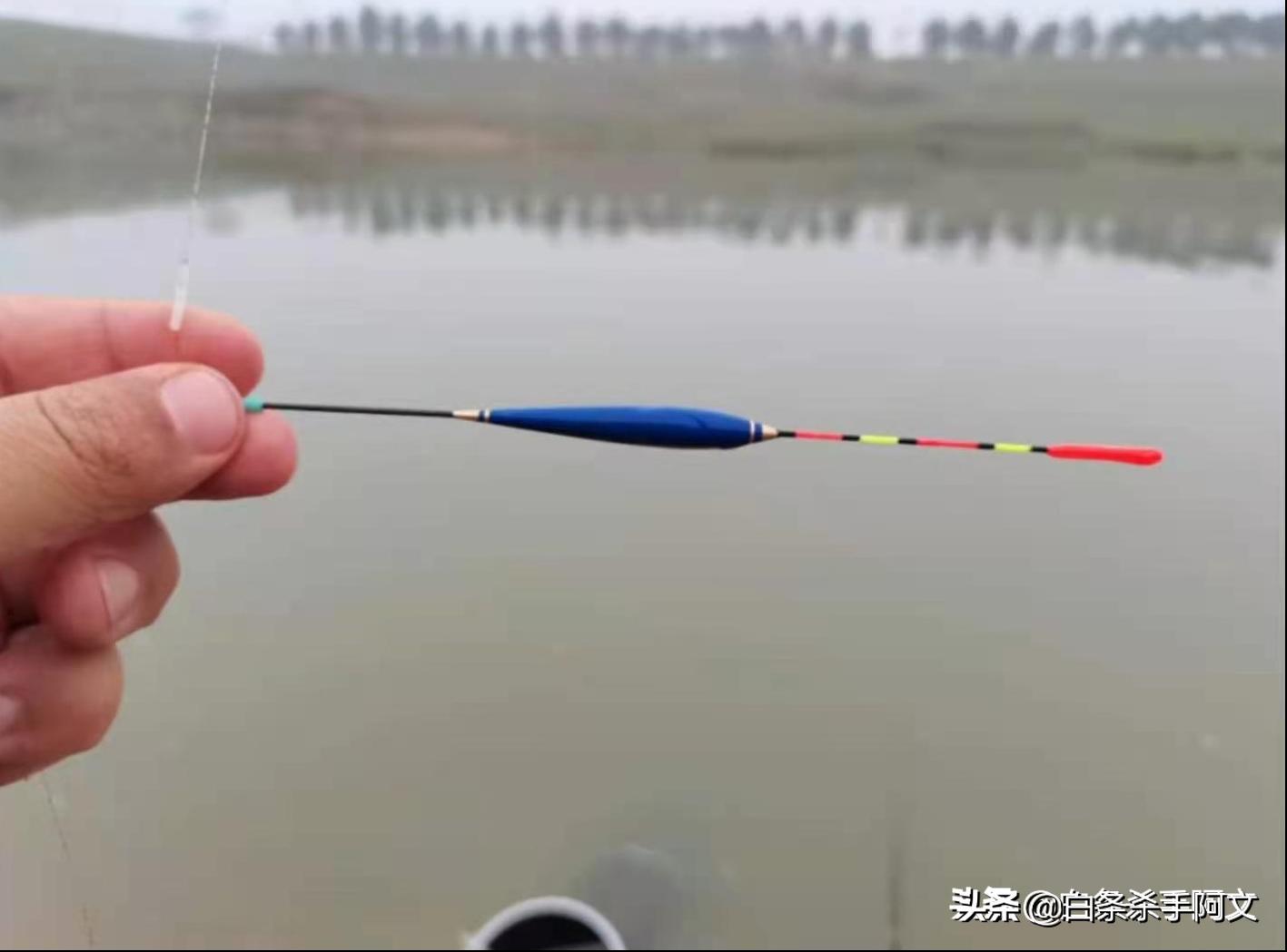 钓白条的正确方法和技巧,冬季野钓白条如何越钓越多