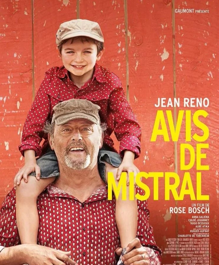 电影推荐6部高分经典的悬疑电影,温情治愈系电影解说