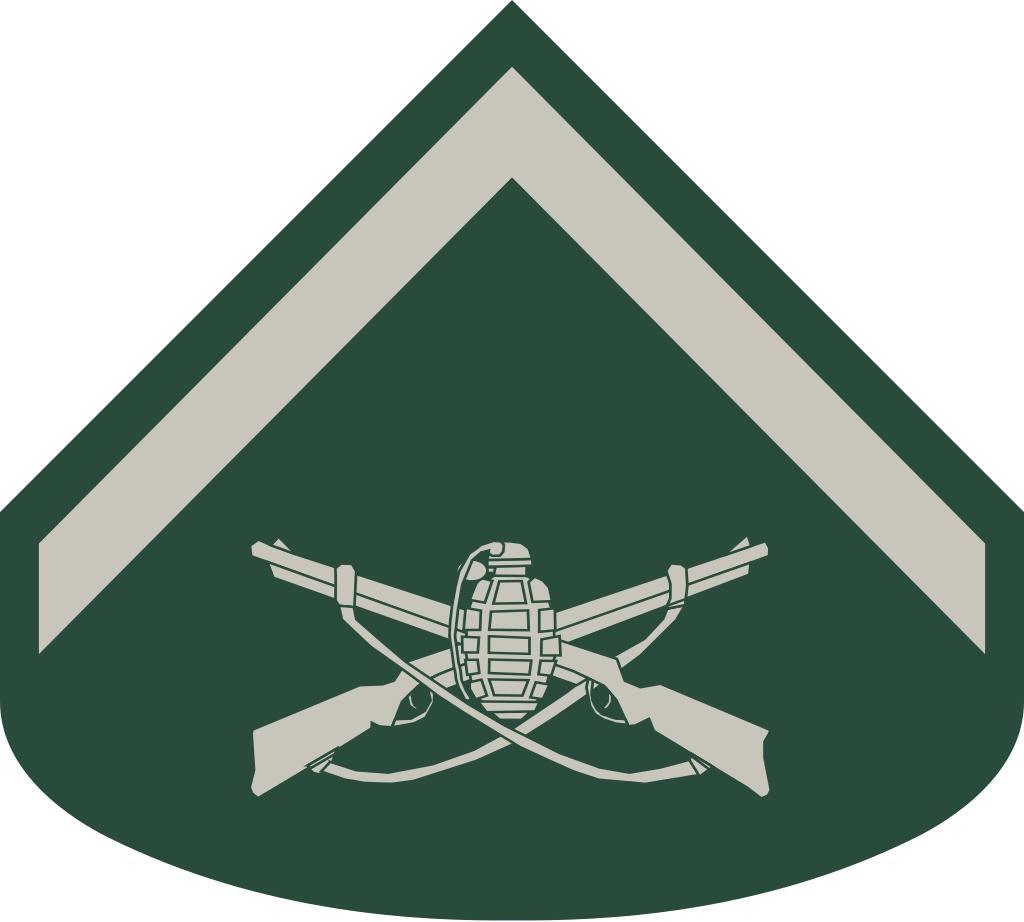 巴西军衔图片,各国军衔标识俄罗斯